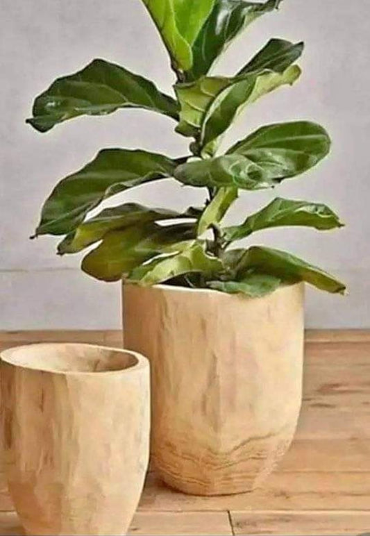 Wooden plant pot